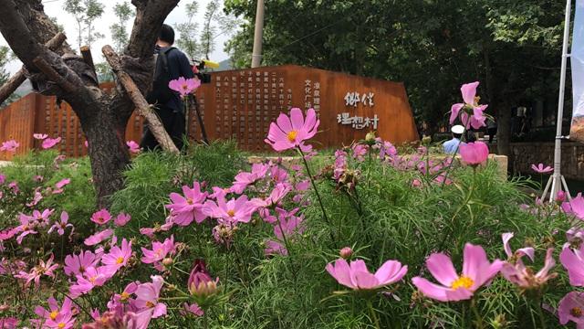 凉泉乡新项目，乡村发展的动力引擎