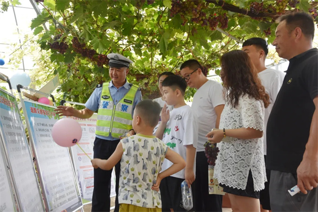 葡萄场交通新闻更新，路况分析与影响报告