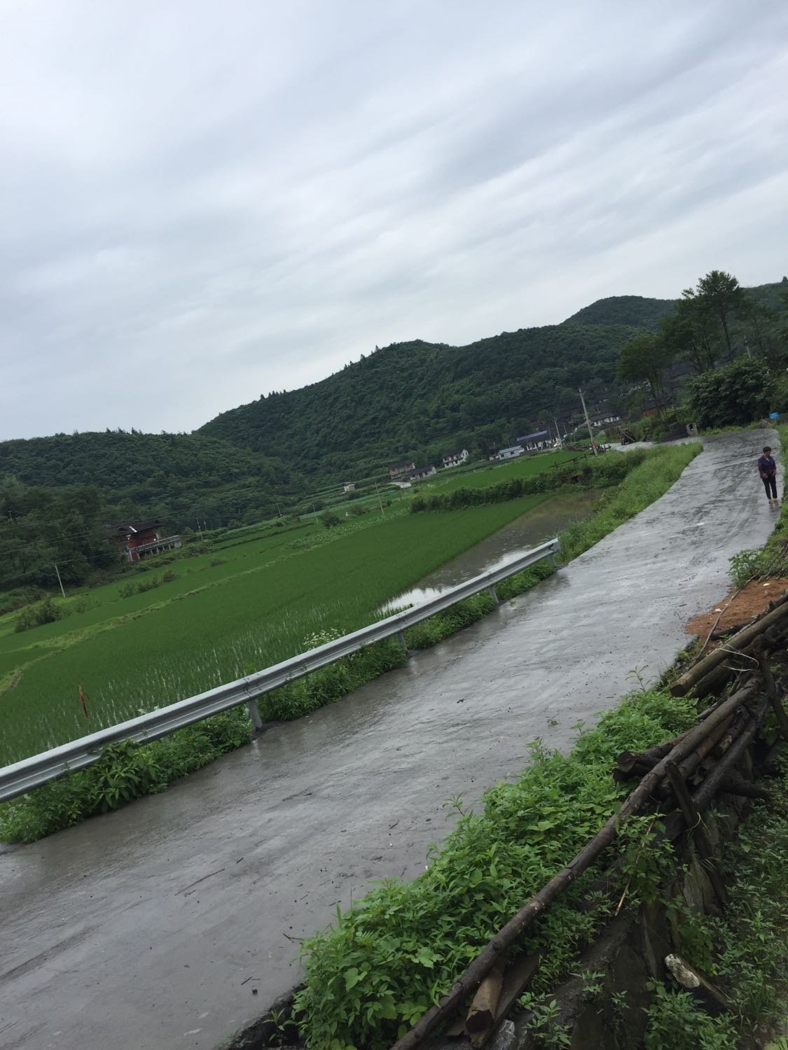 南溪乡天气预报更新通知