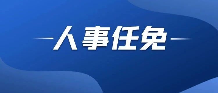 文龙公司人事大调整，重塑团队力量，开启企业新篇章