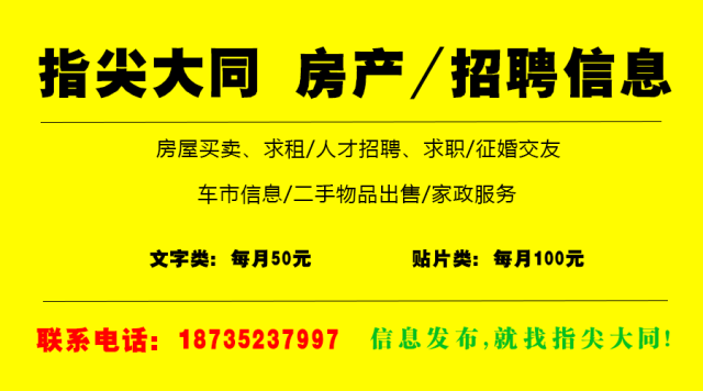 龙井市统计局最新招聘启事概览