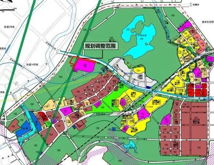 新区街道最新新闻概览